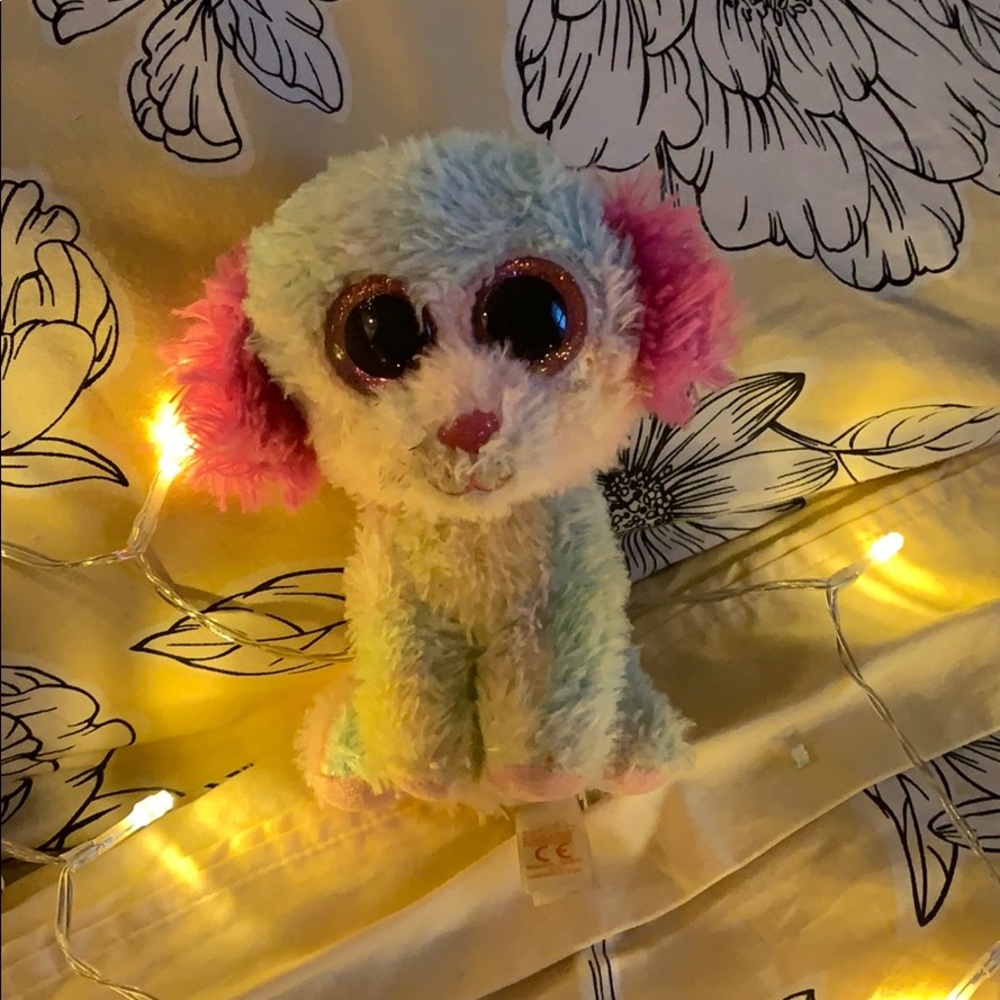 Beanie boo